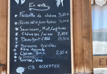 Tocht Stappen La Clusaz - Azureva jours 2 deux demi-journées - Photo