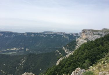 Percorso Marcia Vassieux-en-Vercors - Vassieux-en-Vercors Le puy de la Gagèrent - Photo