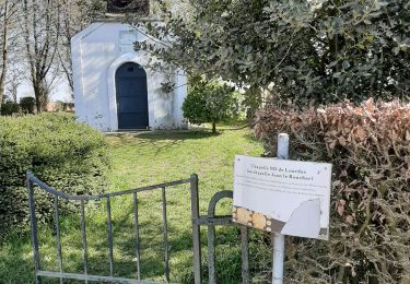 Randonnée Marche Pont-à-Celles - A54 / Jean le Boucher / 2 chapelles / Moulin - Photo