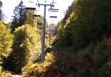 Trail Walking Gérardmer - Gérardmer marche rose 2021 - Photo