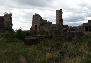 Tour Wandern Deutsch-Rumbach - Col de Fouchy - Photo