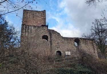 Percorso Marcia Eguisheim - suuntoapp-Hiking-2023-12-29T09-05-16Z - Photo