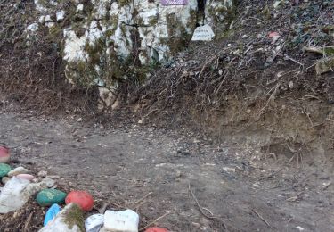 Trail Walking Saint-Nazaire-en-Royans - Chemin Vanille St Nazaire - Photo