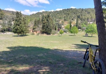 Tour Mountainbike Mormoiron - Mistral Gagnant ...... - Photo