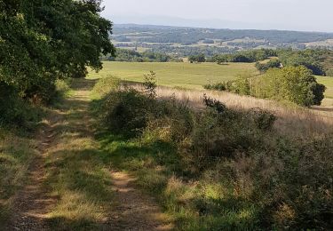 Trail Walking Chelle-Debat - la grande boucle  - Photo