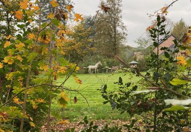 Tour Wandern Braine-le-Château - GR12 - Braine-le-Château - Beersel - Photo