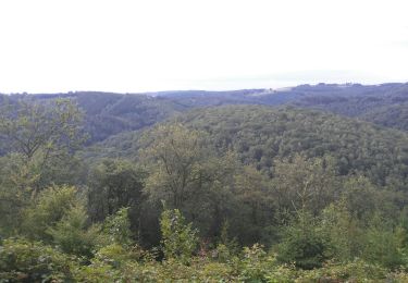 Tour Wandern La Roche-en-Ardenne - Berismenil du mardi - Photo