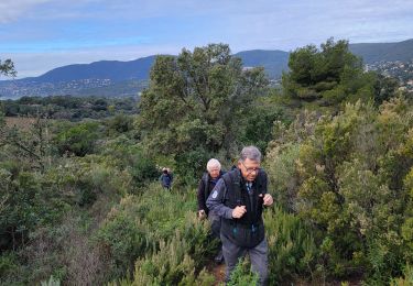 Tocht Stappen La Croix-Valmer - Baie de Cavalaire : coté terre et coté mer - Photo