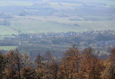 Tocht Te voet Harztor - Südharzer Dampflok Steig - Photo