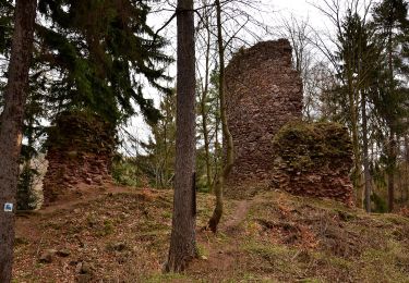 Tour Zu Fuß Kupferberg - [Z] 3989 Perštejn (rozc.) - Horní Halže - Photo