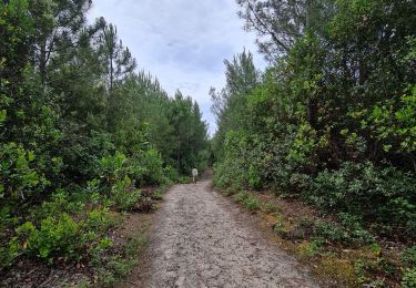 Trail Walking Le Verdon-sur-Mer - Verdon, Rocher Saint Nicolas, Pointe de Grave (Boucle) - Photo