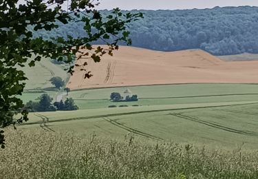 Trail Walking Vauchassis - Randonnée Bucey 10 Juin 2025 - Photo