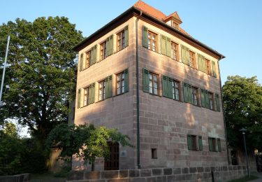 Tour Zu Fuß Laufamholzer Forst - Hirschenkopf Trail - Photo