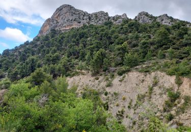 Trail Walking Buis-les-Baronnies - Buis les B. Château d'Ubrieux - Photo