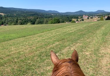 Trail Horseback riding Ban-de-Sapt - Belle Fosse - Ban de Laveline   - Photo
