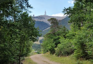 Trail Walking Beaumont-du-Ventoux - Ventoux direct - Photo
