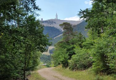 Tocht Stappen Beaumont-du-Ventoux - Ventoux direct - Photo