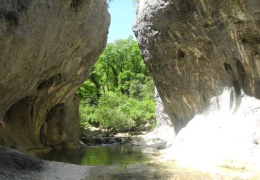 Tocht Stappen Lussan - PF-Lussan - La Lèque,le menhir,les Concluses - Photo