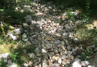 Randonnée Marche Montagnac-d'Auberoche - Boucle de la fontaine Marceau ( Montagnac d’ Auberoche)  - Photo