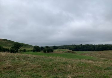 Tocht Stappen Riom-ès-Montagnes - Étang de Bonde - Photo