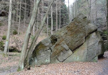 Excursión A pie Hohnstein - Großer Rundweg - Photo