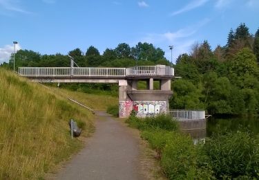 Excursión A pie Ober-Ramstadt - Ortsrundwanderweg Ober-Ramstadt 4 - Photo