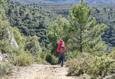 Excursión A pie Nans-les-Pins - nans les pins 10km - Photo