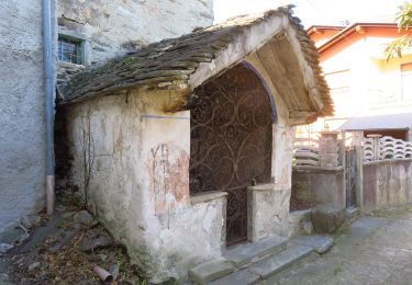 Trail On foot Pieve Vergonte - A47 - Pieve Vergonte - Pizzo Camino - Photo