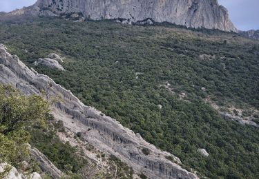 Trail Walking Gémenos - Le Tour du vallon de Chemin de Fer - Photo