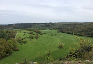 Tour Wandern Rochefort - Rochefort  - Photo