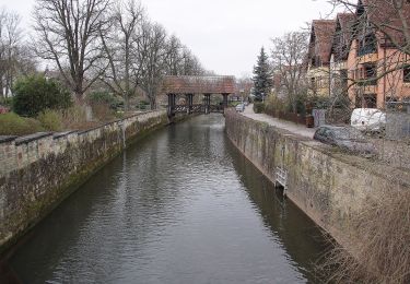 Randonnée A pied Bietigheim-Bissingen - Enztal - Photo