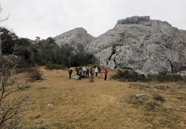 Percorso Marcia Plan-d'Aups-Sainte-Baume - Ste Baume sentier de Vincent - Photo