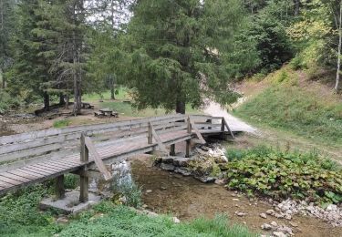 Percorso Marcia Autrans-Méaudre en Vercors - Autrans-Méaudre en Vercors Marche à pied - Photo