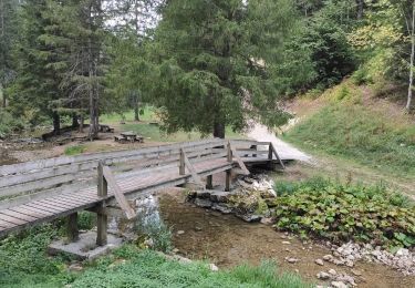 Randonnée Marche Autrans-Méaudre en Vercors - MAP Les Gorges du Méaudret  Les Jarrands. - Photo