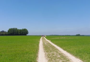 Trail Walking Franqueville-Saint-Pierre - 20200520-Le Faulx - Photo