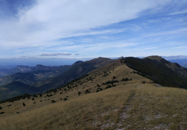 Trail Walking Rochefourchat - Serre Délégué depuis Rochefourchat 15 10 23 - Photo