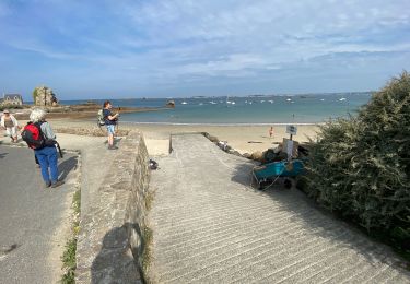 Trail Walking Plougrescant - Pointé du château plougrescant  - Photo