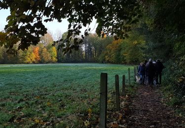 Tocht Stappen Kasteelbrakel - Marche Adeps á Braine-le-Château - Photo