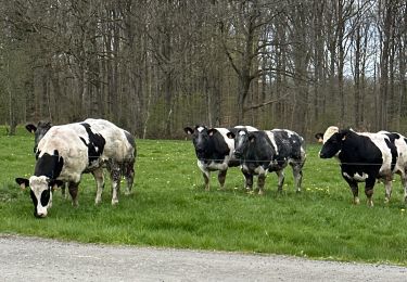 Randonnée Marche Nassogne - Grune - Photo