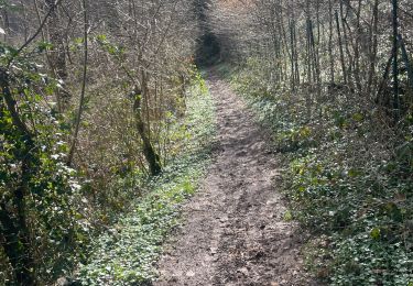 Percorso Marcia Stavelot - Stavelot- Chemin des source  14 Km - Photo