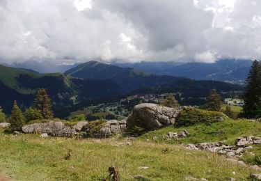 Tour Wandern Taninges - le lac du roy - Photo