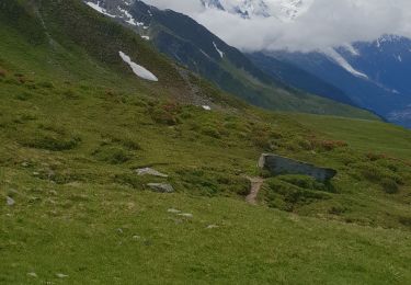 Tour Wandern Chamonix-Mont-Blanc - monté au refuge Albert 1er - Photo