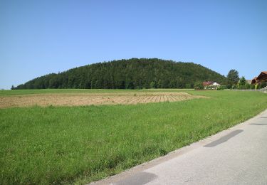 Excursión A pie Semriach - R10 Boden-Rechbergkogel-Greithweg - Photo