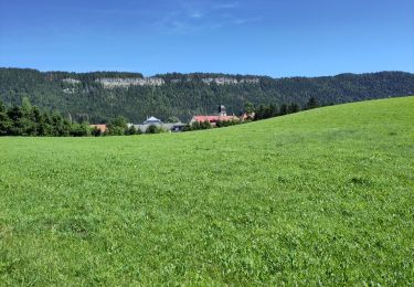 Trail Walking Chapelle-des-Bois - Chapelle-des-Bois 20km - Photo