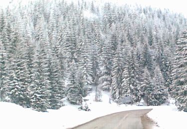 Tour Zu Fuß  - sat Câmpani (DN75) - Valea Sighiștelului - DN75 km 25+100 - Photo