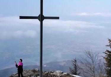 Trail Snowshoes Autrans-Méaudre en Vercors - geve vers bec Orient - Photo