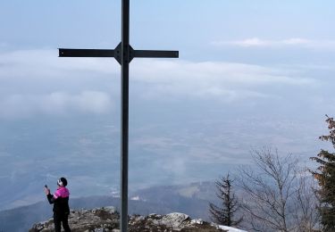 Percorso Racchette da neve Autrans-Méaudre en Vercors - geve vers bec Orient - Photo