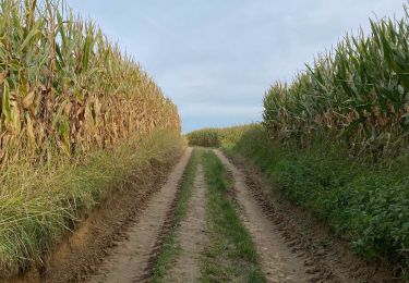 Tour Wandern Huldenberg - Loonbeek - Huldenberg - Duisburg - Photo