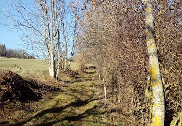 Tocht Stappen Durtol - Durtol - Photo