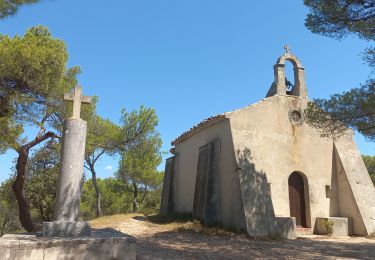 Excursión Senderismo Villedieu - Villedieu - Photo